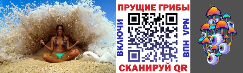 Купить где  Струнино  Псилоцибиновые грибы Cubensis 